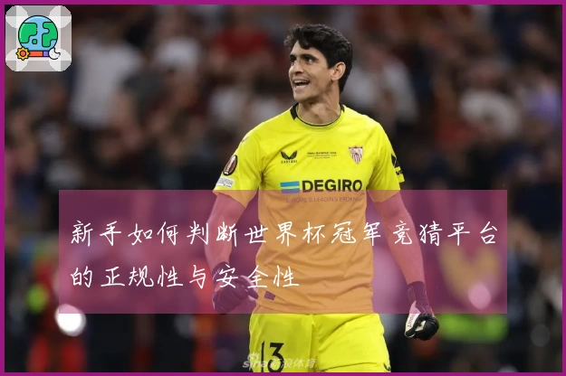 新手如何判断世界杯冠军竞猜平台的正规性与安全性