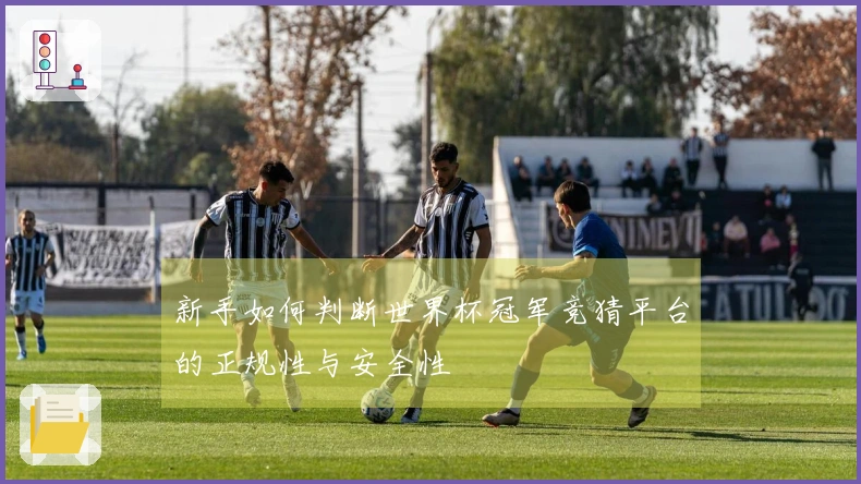 新手如何判断世界杯冠军竞猜平台的正规性与安全性